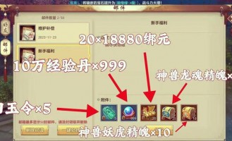 天龙八部sf发布网：提供私服信息但有风险，选服要点需知